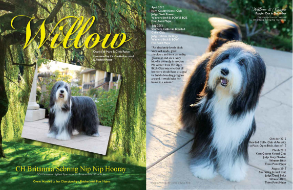 Willow ad-both pictures (1)